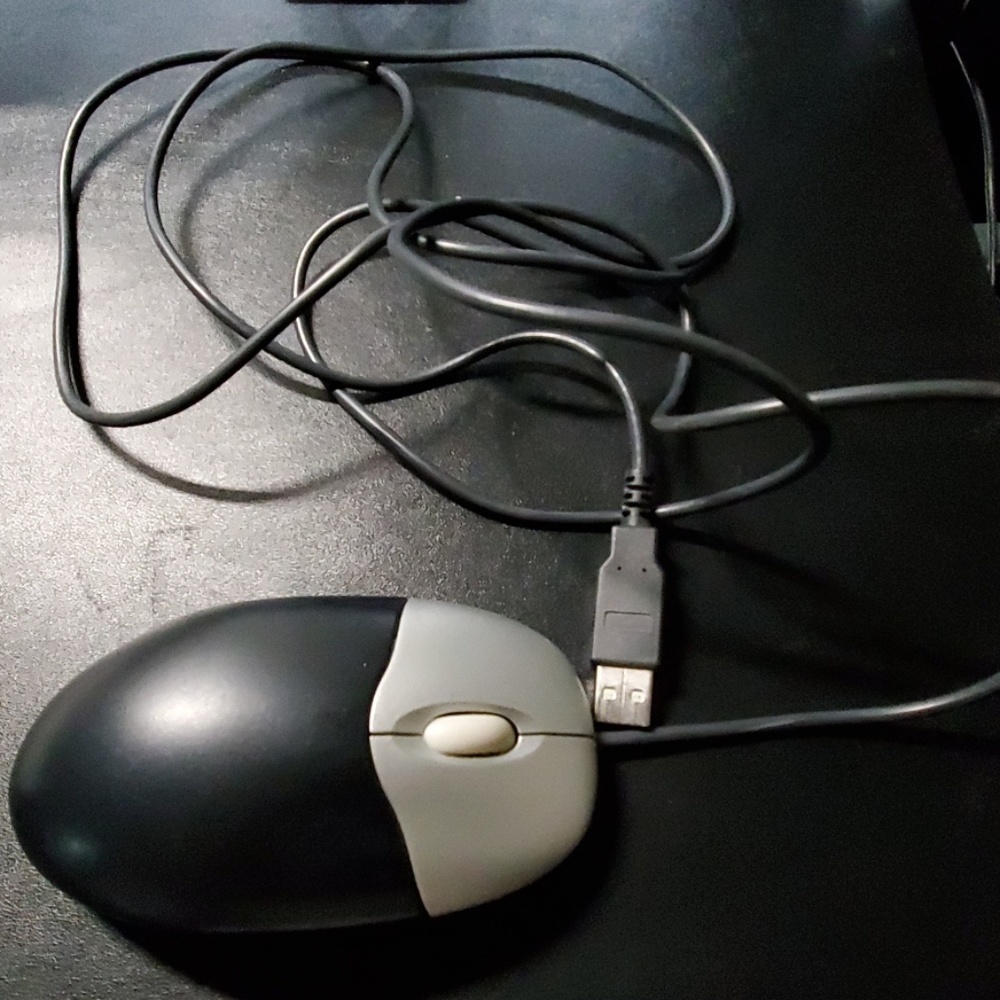 HP Wired Mouse